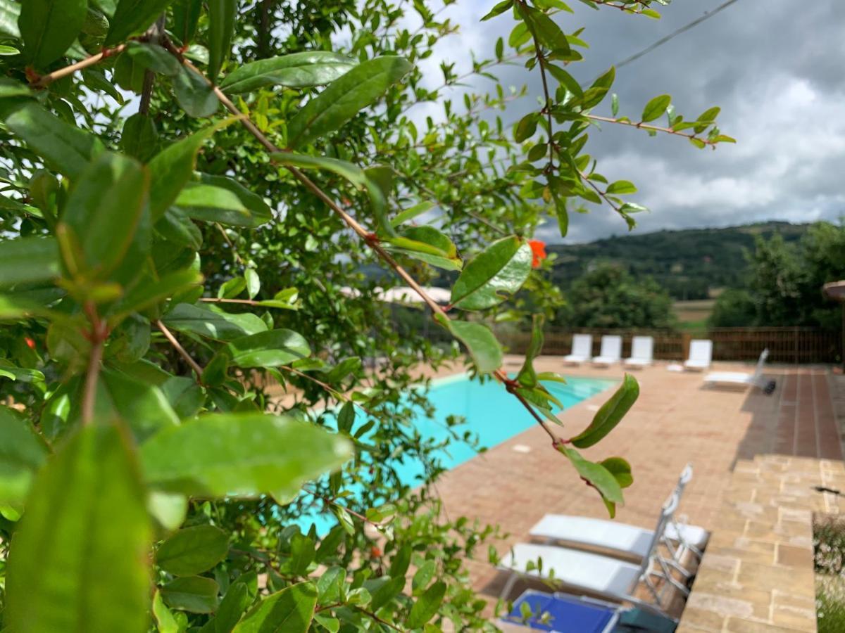 Agriturismo La Palazzetta Di Assisi Dış mekan fotoğraf