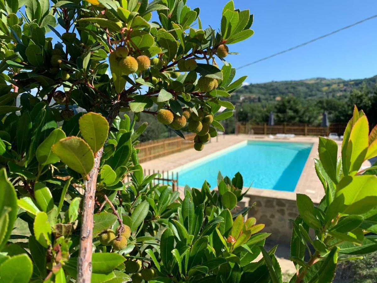 Agriturismo La Palazzetta Di Assisi Dış mekan fotoğraf