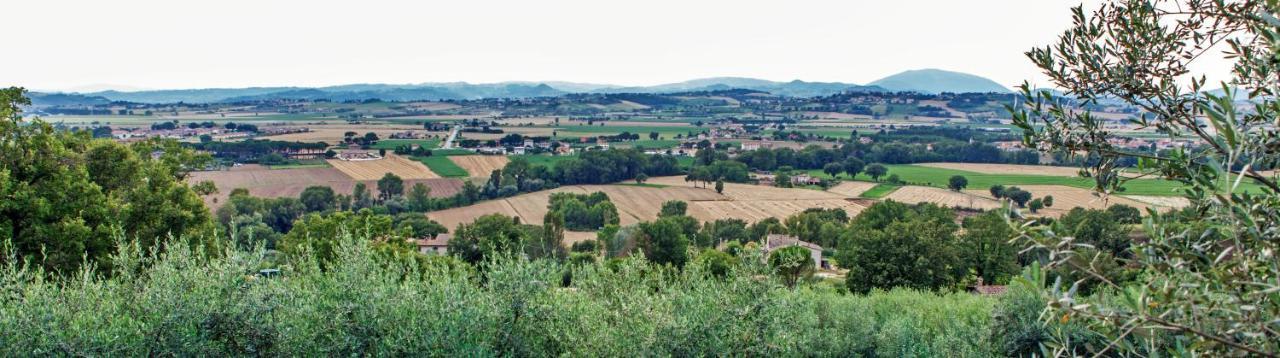Agriturismo La Palazzetta Di Assisi Villa Dış mekan fotoğraf